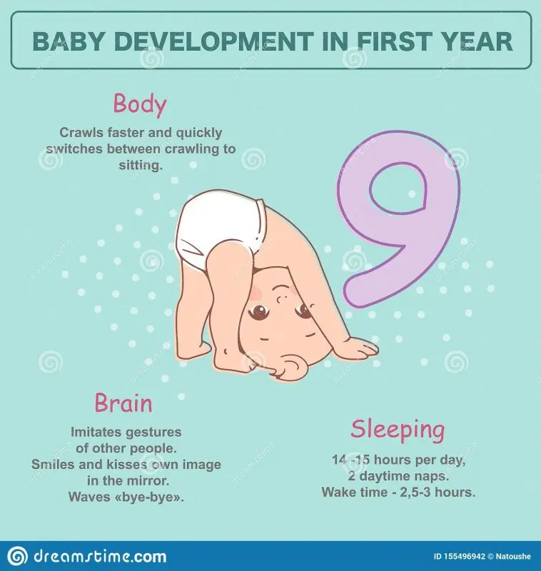 Baby&#8217;s development at 9 months: long live the four legs!