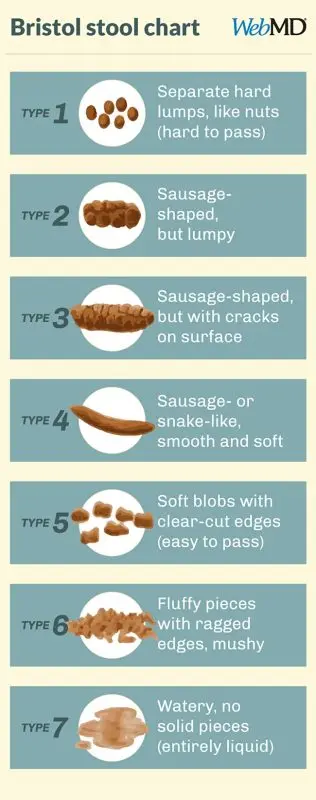 Baby&#8217;s stool: what&#8217;s normal and what isn&#8217;t