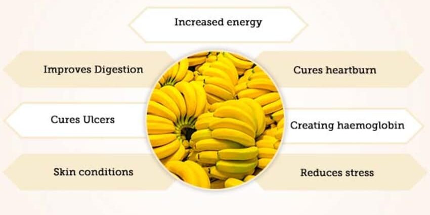 Banana &#8211; benefits for the body, what to cook from overripe banana