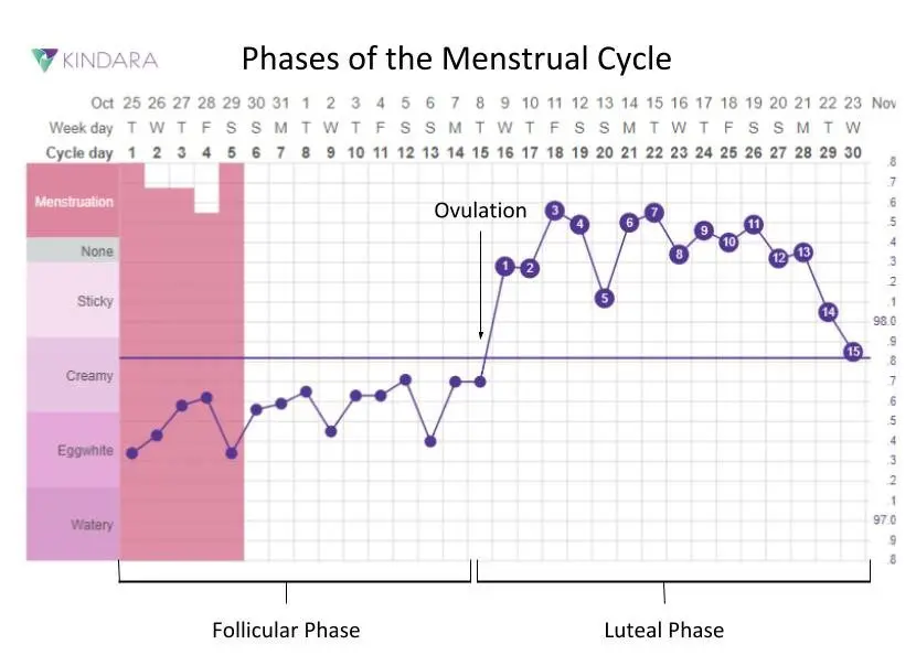 Basal temperature before menstruation: what should be when it rises