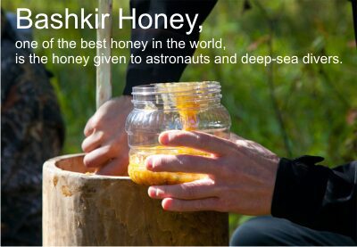 Bashkir honey: useful properties. Video