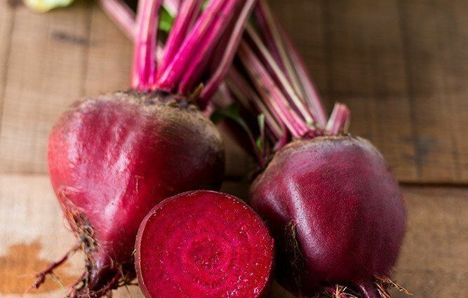 Beet varieties: best for storage