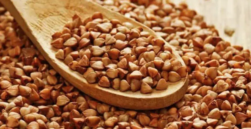 benefits and harms, calorie content, composition Buckwheat benefits and harms