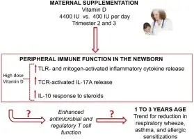 Benefits of Vitamin D for Pregnant Women and Childhood Immunity