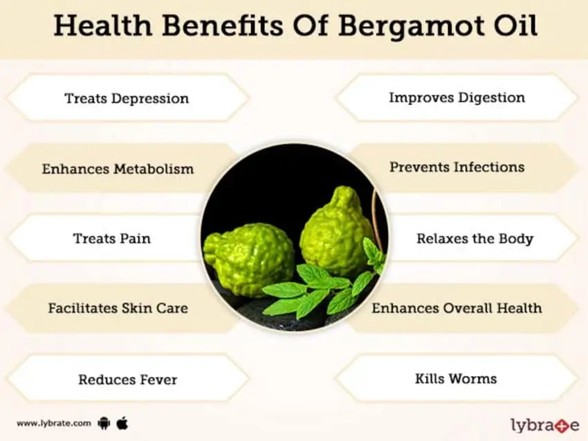 Bergamot tea heals the body