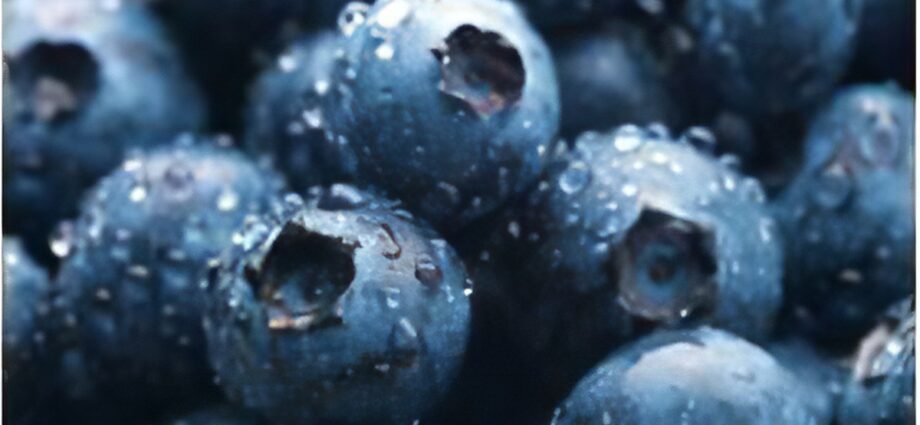 Berries, a protective effect against Parkinson&#8217;s disease?