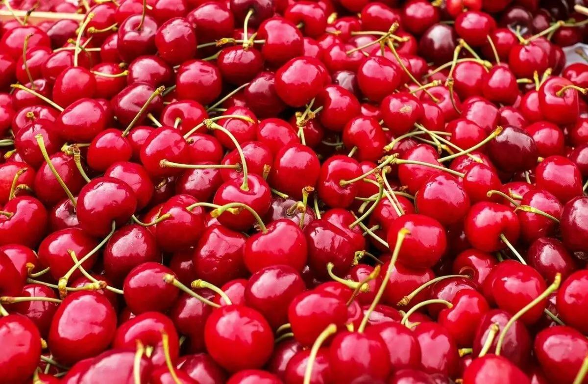 Berry season: who shouldn&#8217;t eat cherries