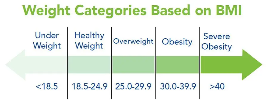 Better understand obesity