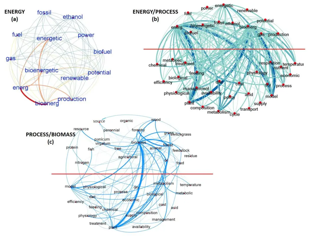 Bioenergy: what is a bioenergetic analysis?