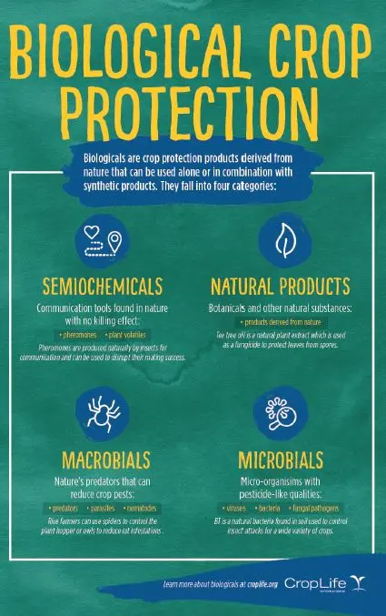 Biological plant protection