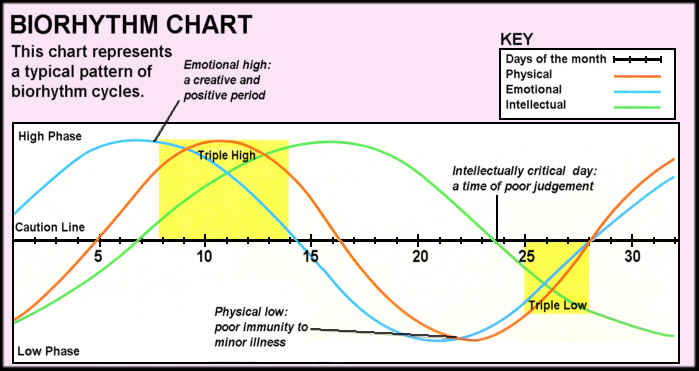 Biorhythm workout schedule