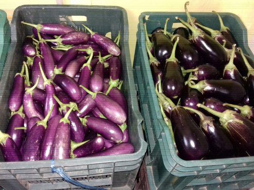 Black eggplant: grade