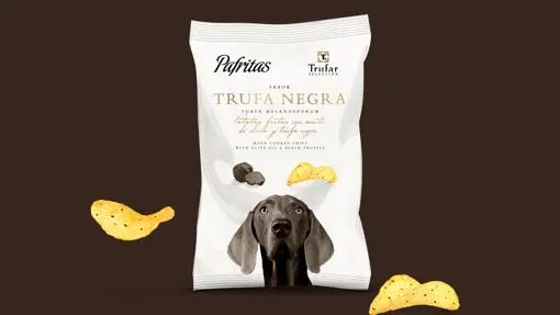 Black truffle: everything you need to know about this winter luxury