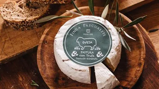Black truffle: everything you need to know about this winter luxury