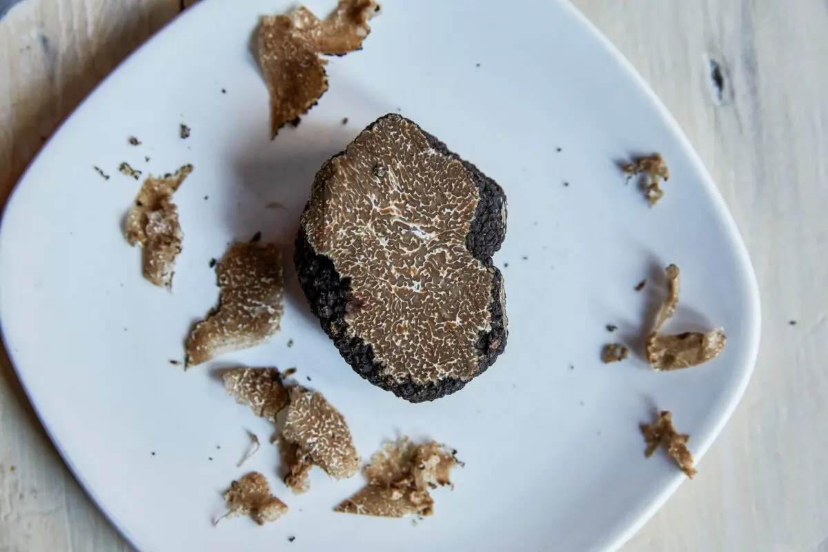 Black truffle: everything you need to know about this winter luxury