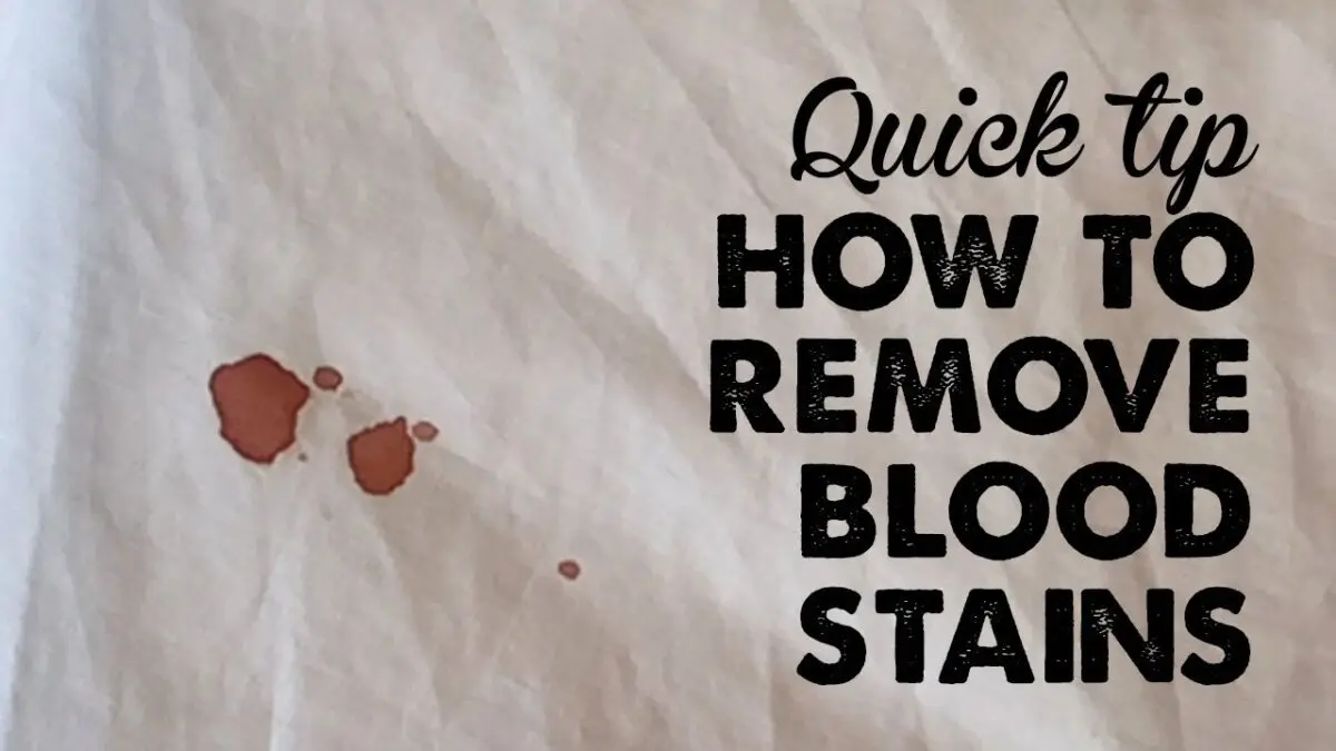 Blood stains: how to remove them from clothes or furniture? Video