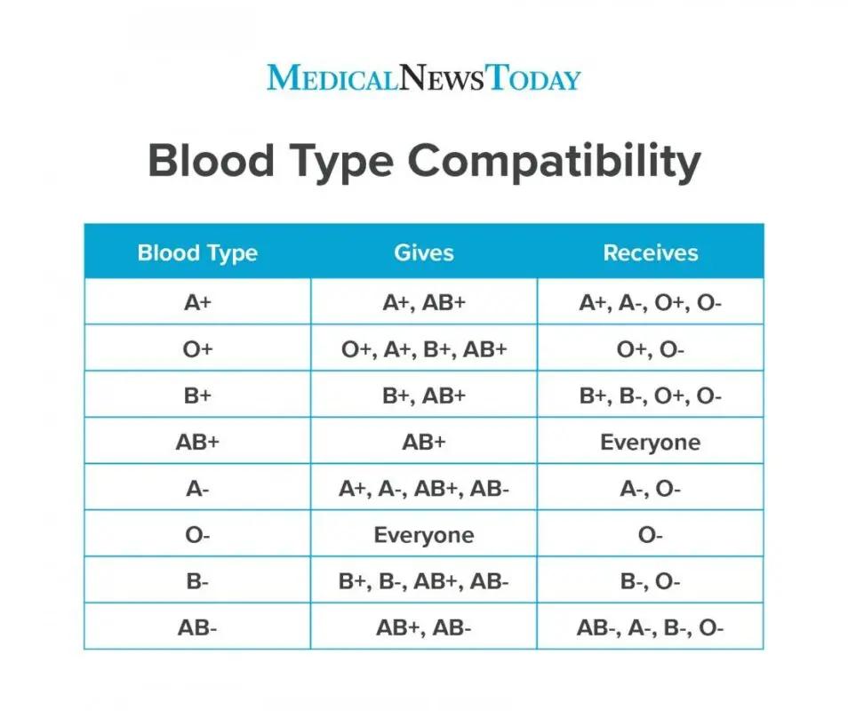 Blood type compatibility: what you need to know? Video