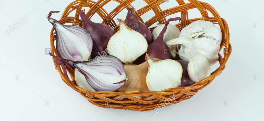 Blue onion: varieties