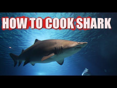 Blue shark: what dishes to cook? Video