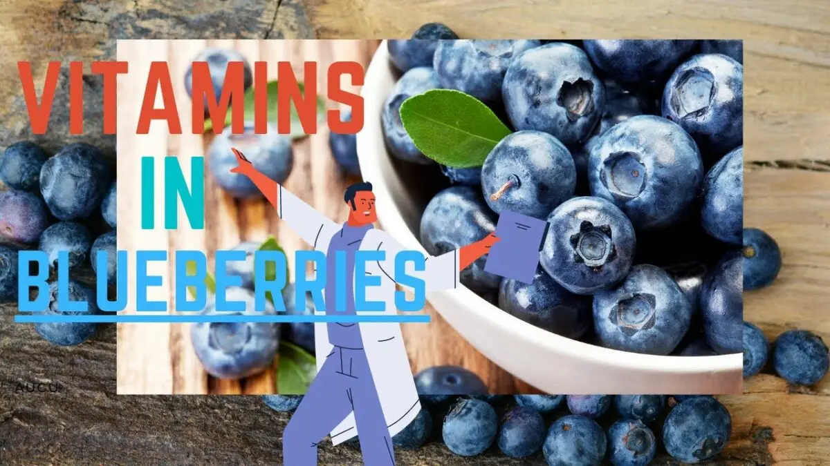 Blueberries are a source of vitamins. Video