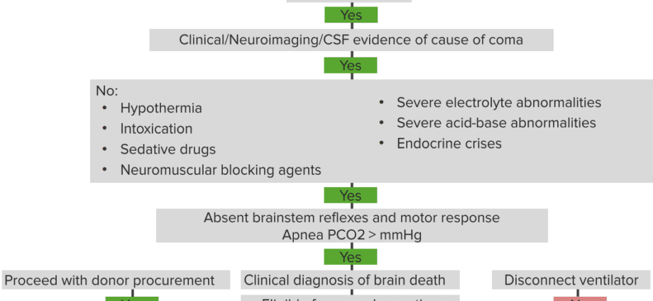 Brain death: causes and symptoms