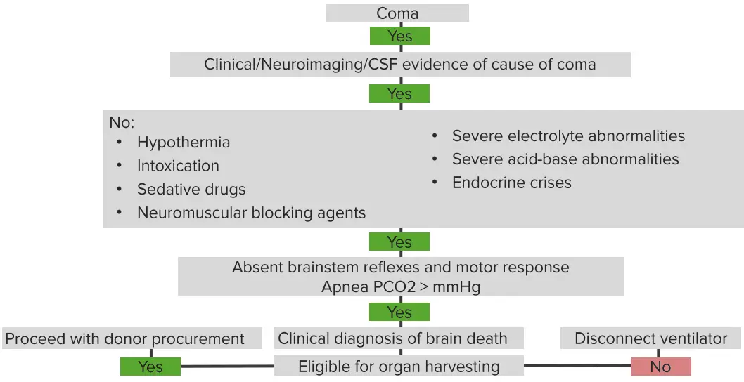 Brain death: causes and symptoms