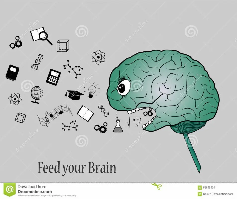 Brain feeding or brain feeding?