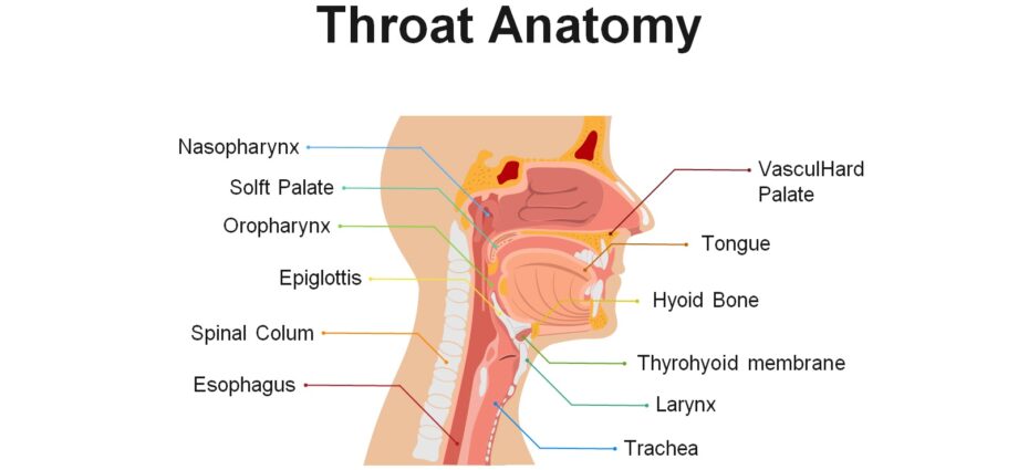 Breathing Right: 7 Methods for Health &#038; Mood