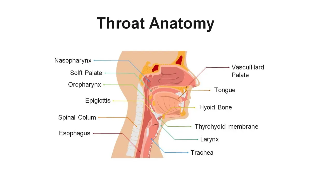 Breathing Right: 7 Methods for Health &#038; Mood