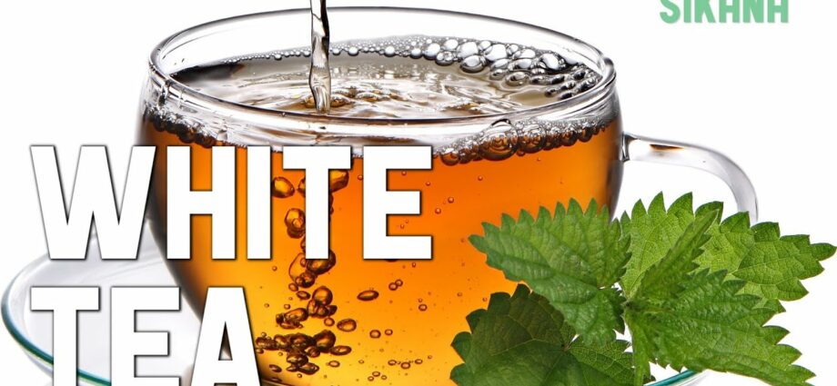 Brewing white tea: video recipe