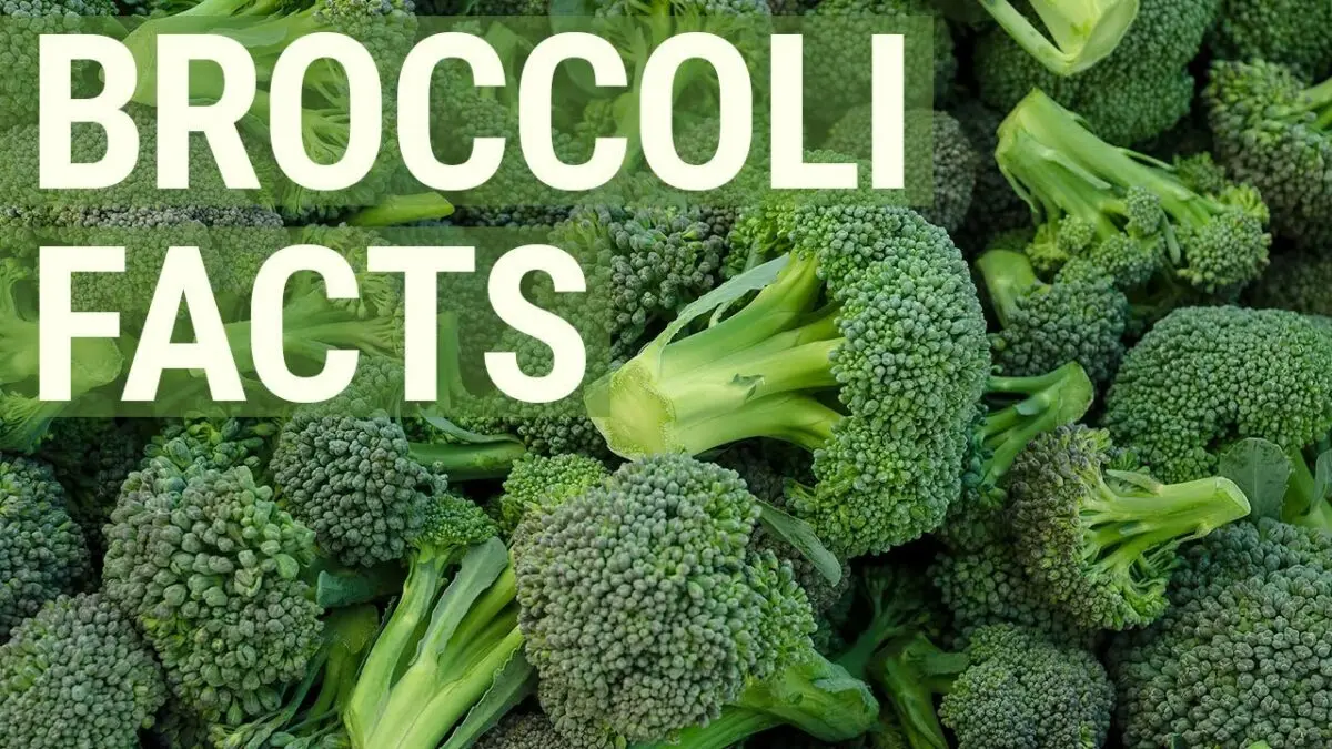 Broccoli: beneficial properties. Video