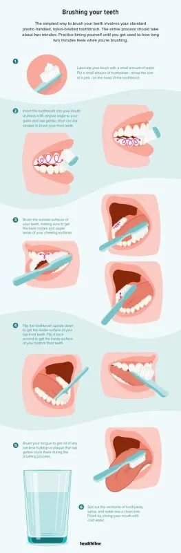 Brushing your teeth, the right method