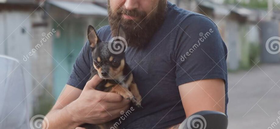 Brutal handsome men who adore small dogs: photos