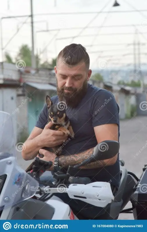 Brutal handsome men who adore small dogs: photos