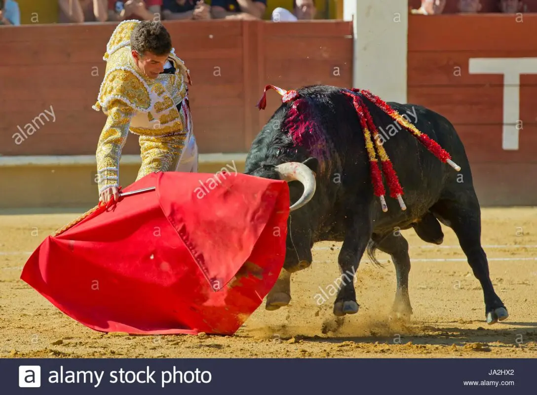 Bullfighting and Tapas come together in Roquetas