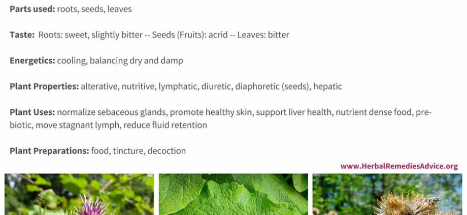 Burdock leaf juice: how to store and how much