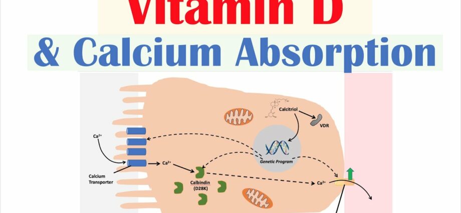 Calcium with Vitamin D3. Video