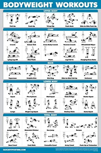 Calisthenics exercise