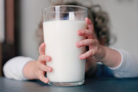 孩子可以吃牛奶嗎？ 為什麼牛奶對兒童的健康有害