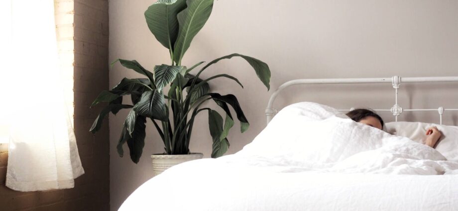 Vai jūs patiešām varat turēt augus guļamistabā?