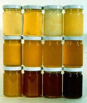 Քաղցր մեղր, վերականգնման մեթոդներ