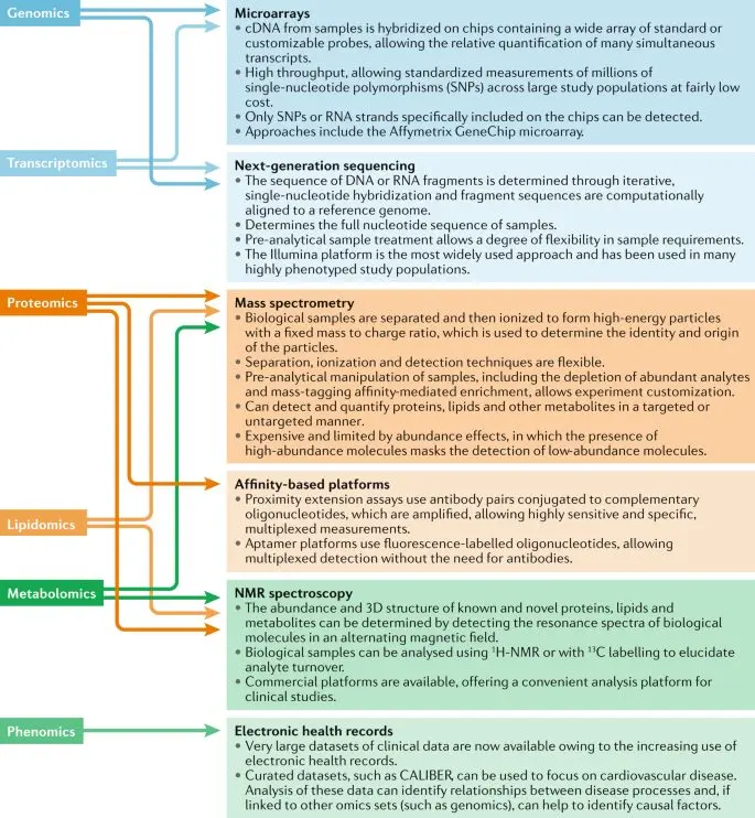 Cardiac disorders (cardiovascular diseases): complementary approaches