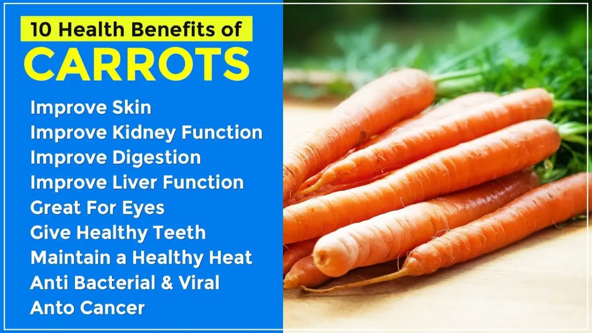 Carrots: beneficial properties. Video