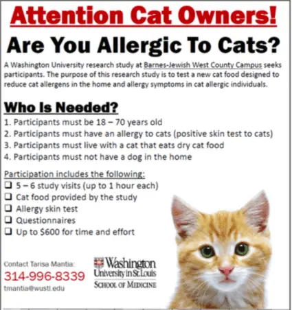 Cat allergy: what can you do?