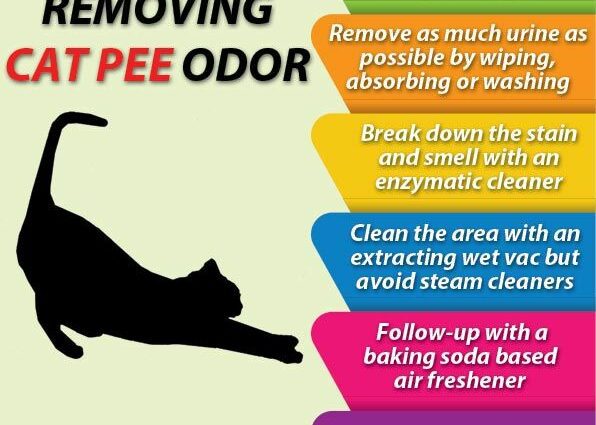 Cat urine odor remedy