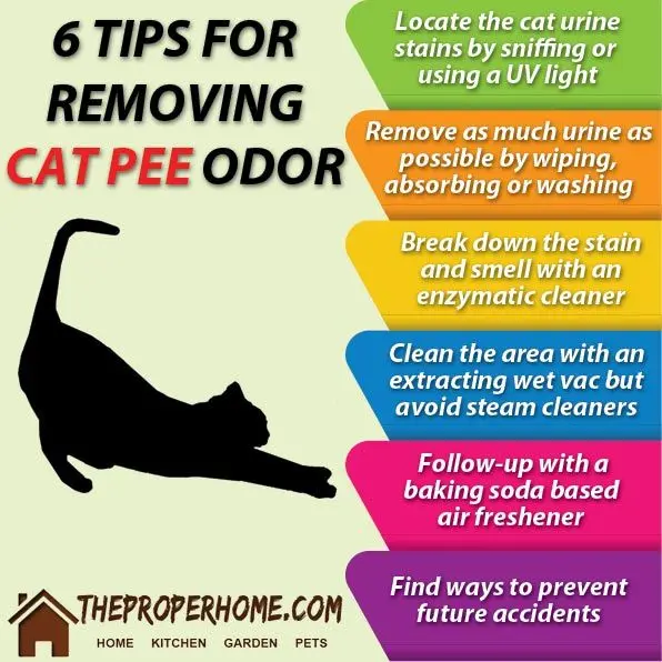 Cat urine odor remedy