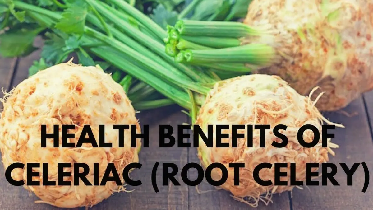 Celery root: beneficial properties. Video