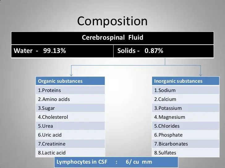 Cerebrospinal fluid: definition, composition and role