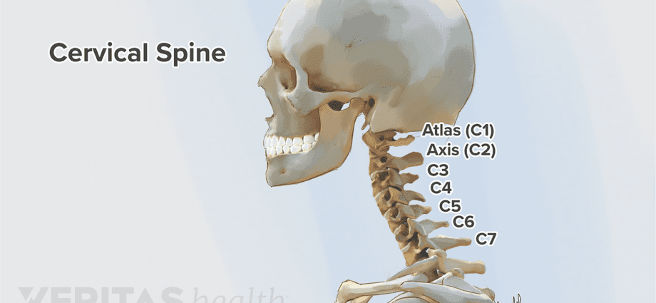 Servikal vertebra
