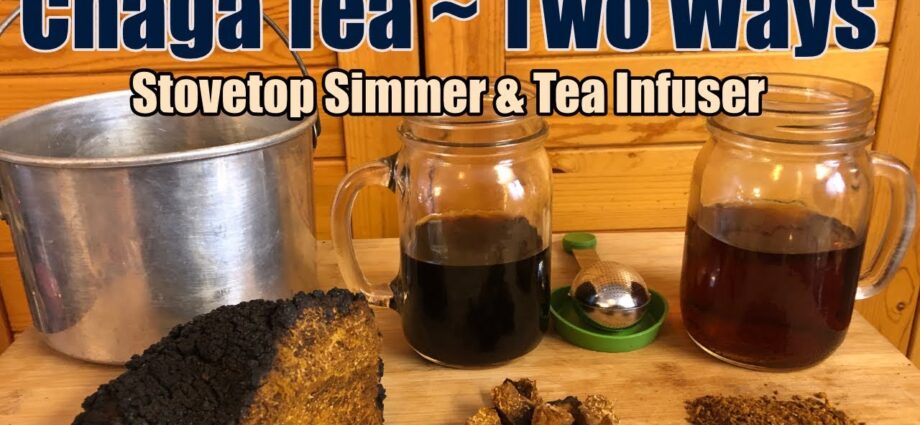 Chaga mushroom: how to brew a decoction? Video